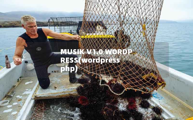 MUSIK V1.0 WORDPRESS，wordpress php