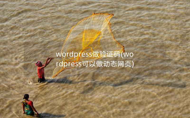wordpress做验证码，wordpress可以做动态网页