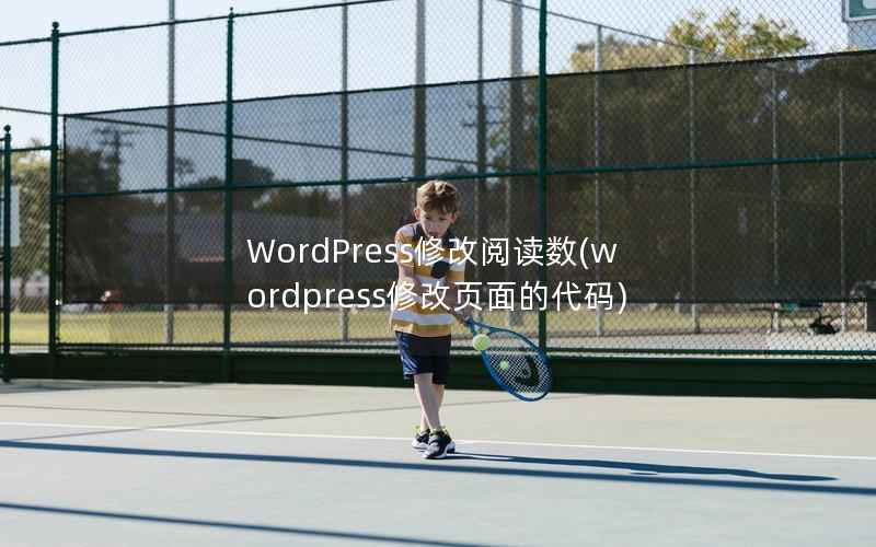 WordPress修改阅读数，wordpress修改页面的代码