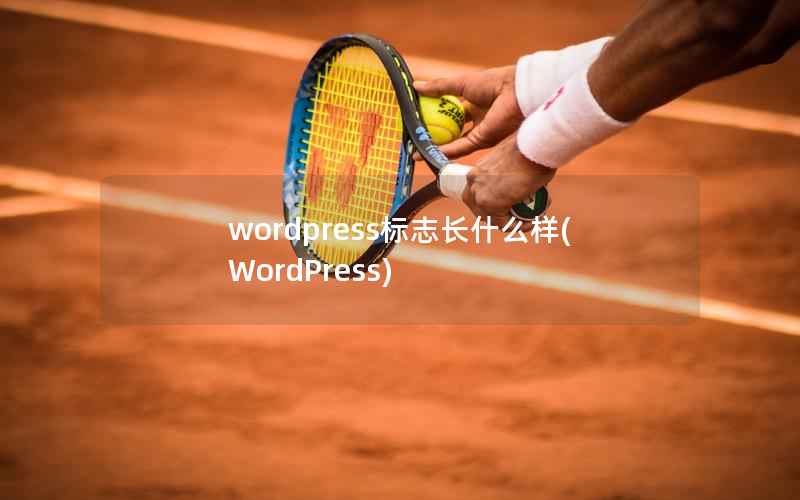 wordpress标志长什么样，WordPress