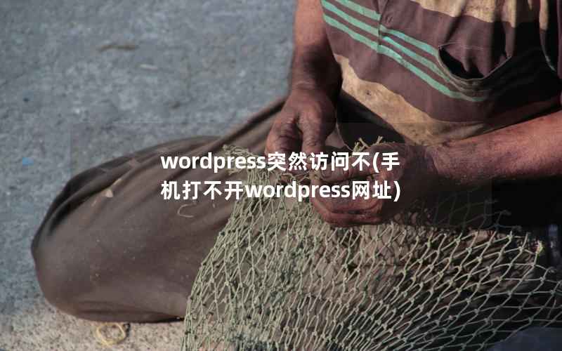 wordpress突然访问不，手机打不开wordpress网址