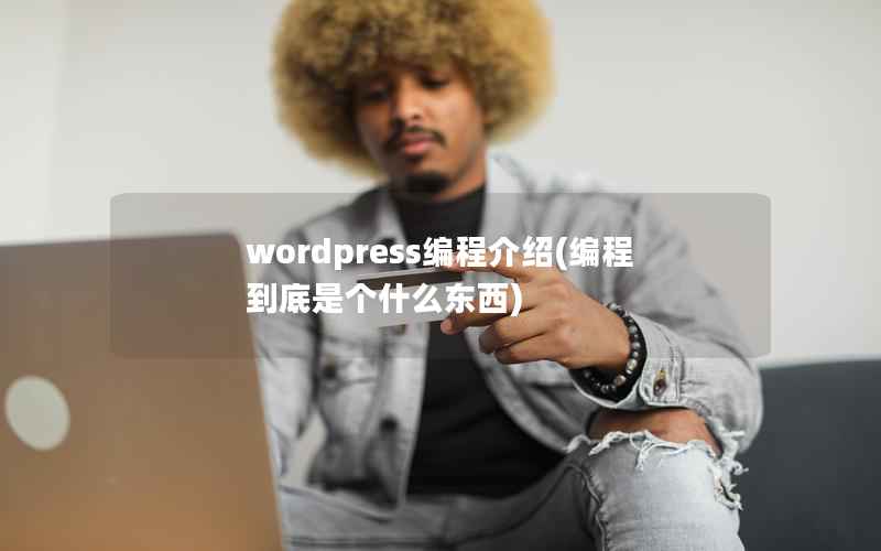 wordpress编程介绍，编程到底是个什么东西