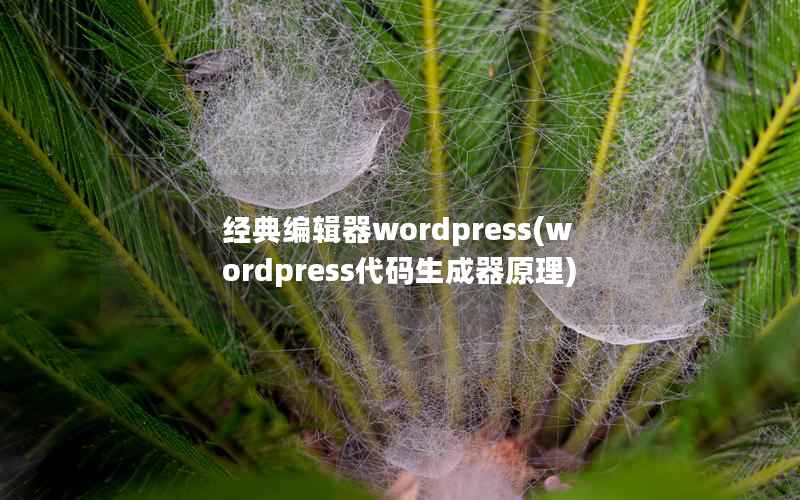 经典编辑器wordpress，wordpress代码生成器原理