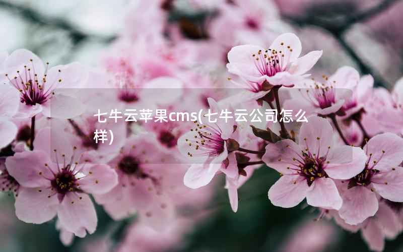 七牛云苹果cms，七牛云公司怎么样