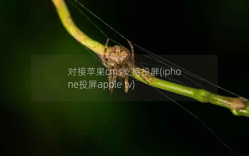 对接苹果cms支持投屏，iphone投屏apple tv