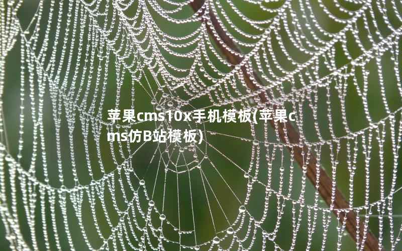 苹果cms10x手机模板，苹果cms仿B站模板