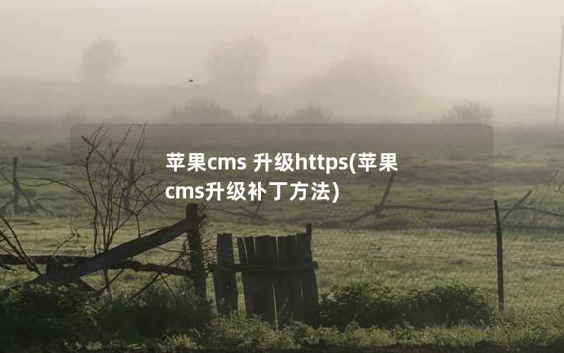 苹果cms 升级https，苹果cms升级补丁方法