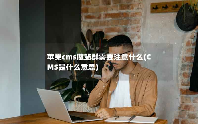 苹果cms做站群需要注意什么，CMS是什么意思