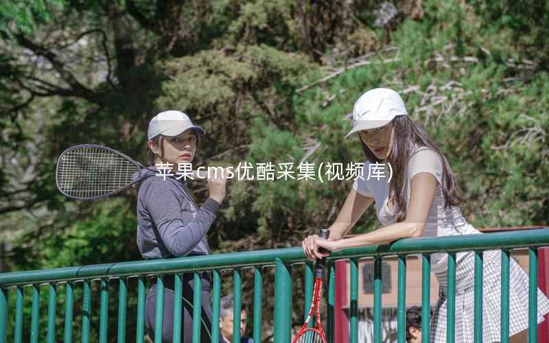 苹果cms优酷采集，视频库