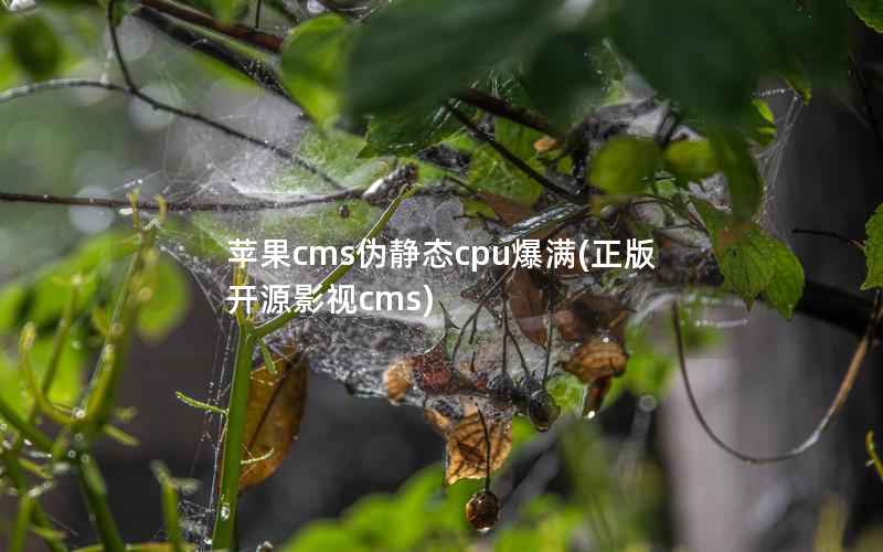 苹果cms伪静态cpu爆满，正版开源影视cms