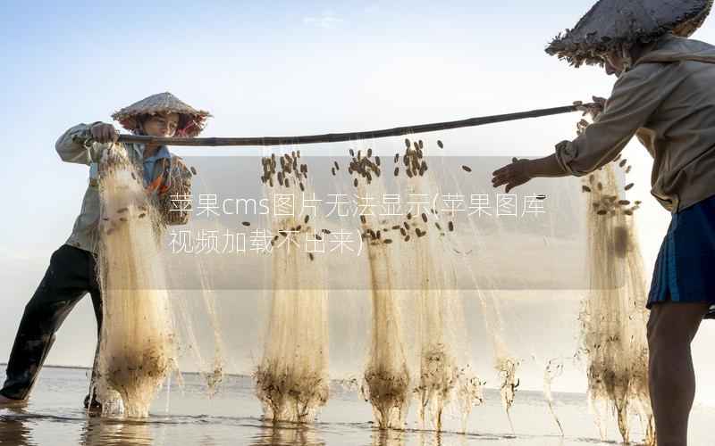 苹果cms图片无法显示，苹果图库视频加载不出来