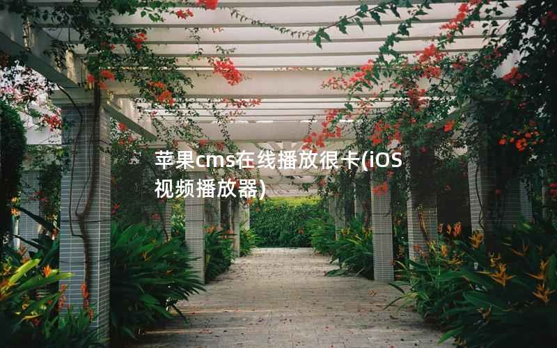 苹果cms在线播放很卡，iOS 视频播放器