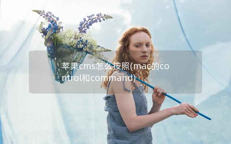 苹果cms怎么按照，mac的control和command