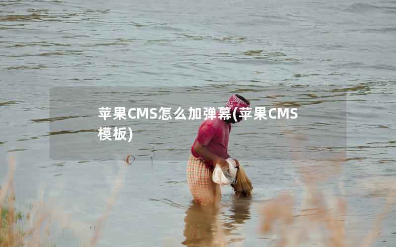 苹果CMS怎么加弹幕，苹果CMS模板