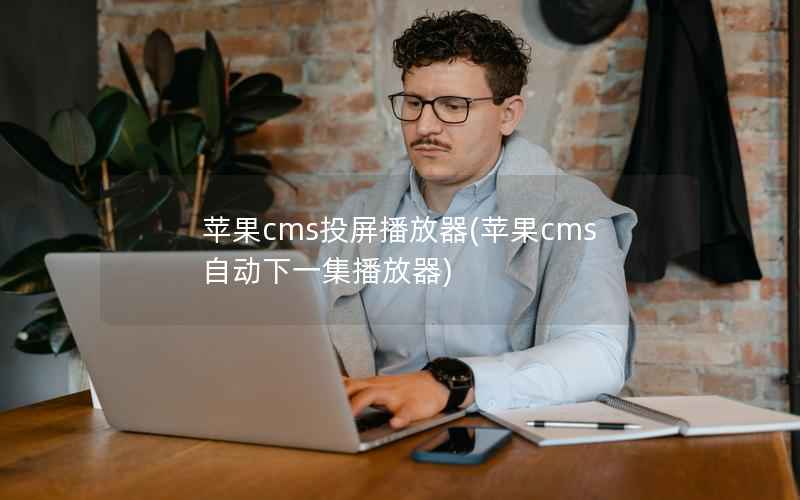 苹果cms投屏播放器，苹果cms自动下一集播放器
