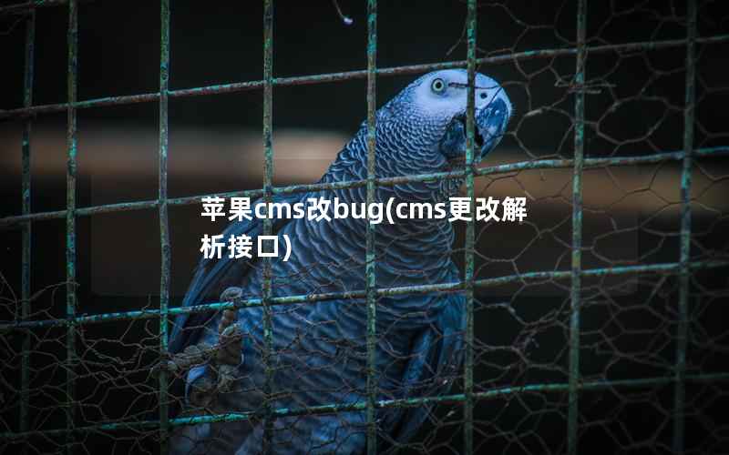 苹果cms改bug，cms更改解析接口