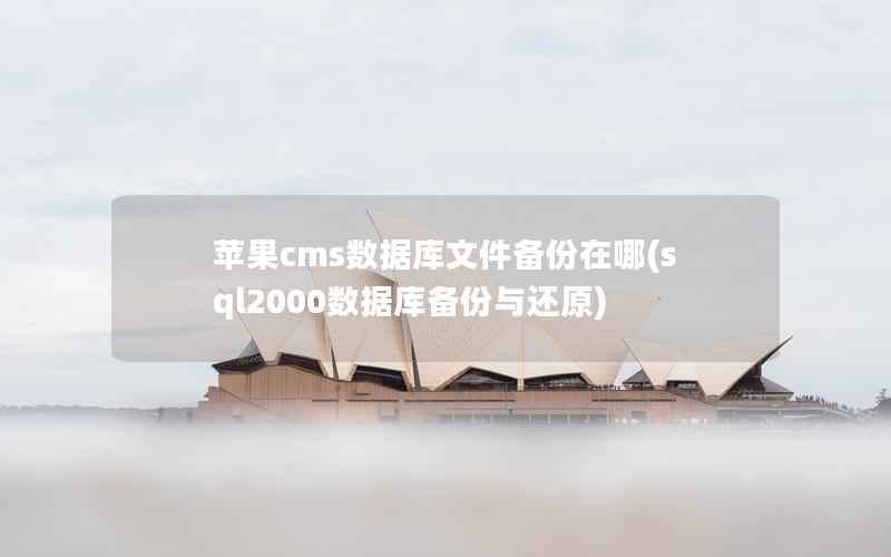 苹果cms数据库文件备份在哪，sql2000数据库备份与还原