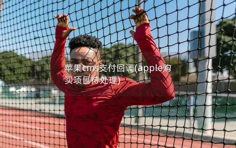 苹果cms支付回调，apple购买项目待处理