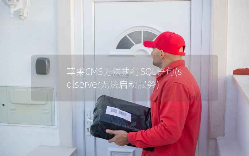 苹果CMS无法执行SQL语句，sqlserver无法启动服务