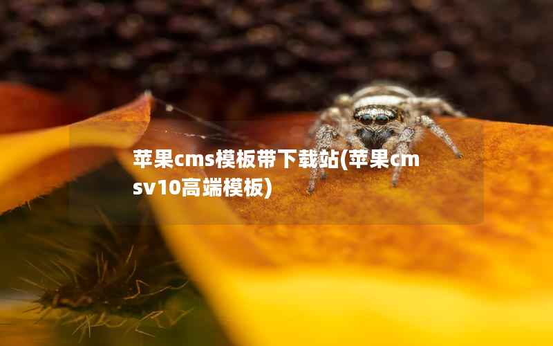 苹果cms模板带下载站，苹果cmsv10高端模板