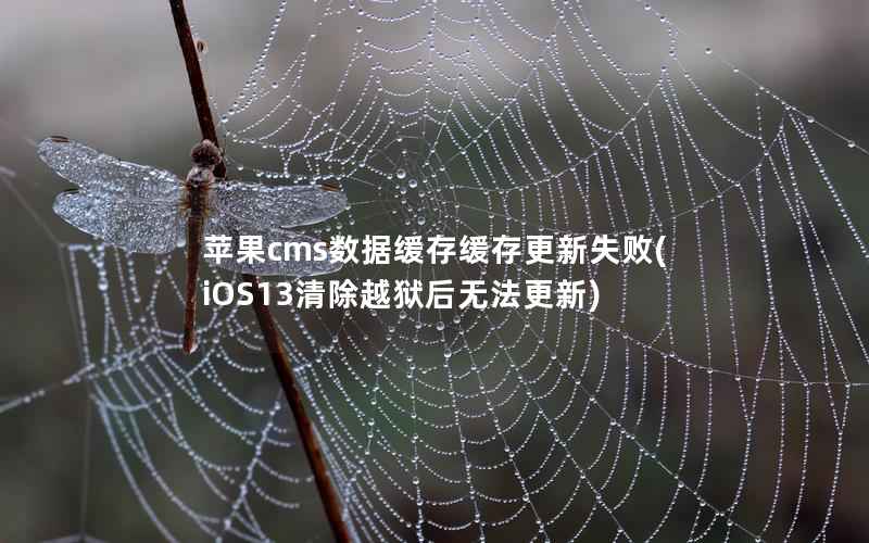 苹果cms数据缓存缓存更新失败，iOS13清除越狱后无法更新