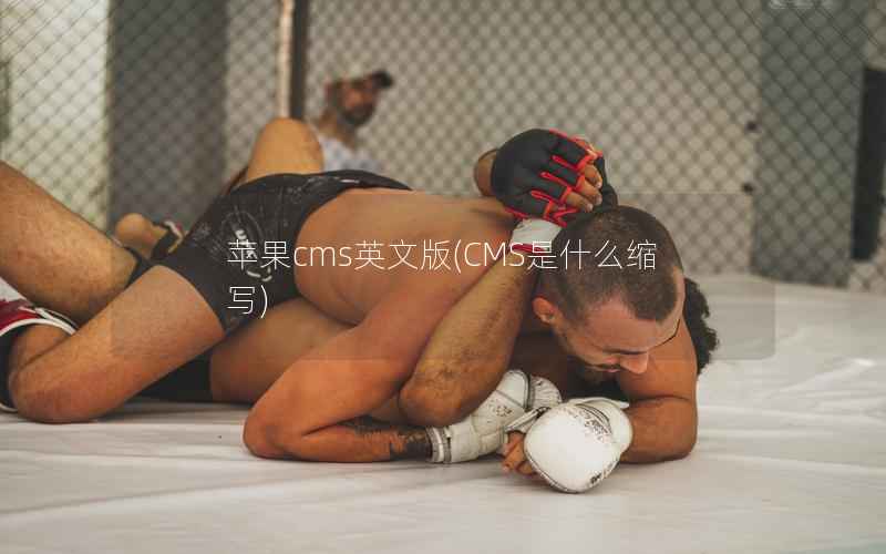 苹果cms英文版，CMS是什么缩写