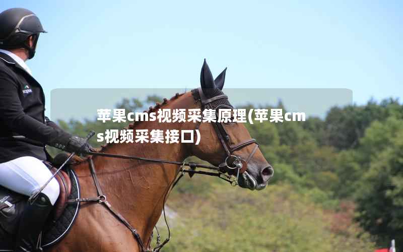 苹果cms视频采集原理，苹果cms视频采集接口