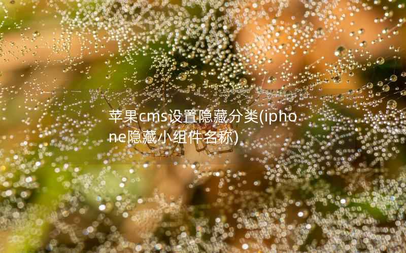 苹果cms设置隐藏分类，iphone隐藏小组件名称