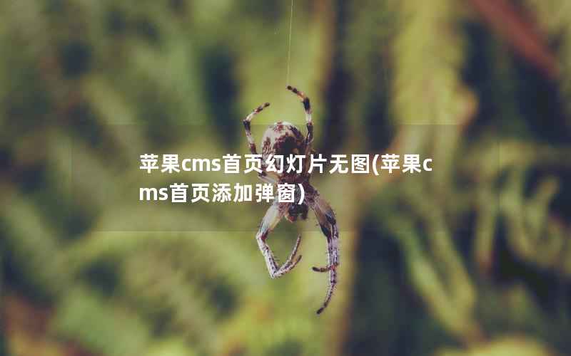 苹果cms首页幻灯片无图，苹果cms首页添加弹窗