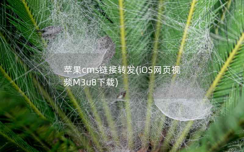 苹果cms链接转发，iOS网页视频M3u8下载
