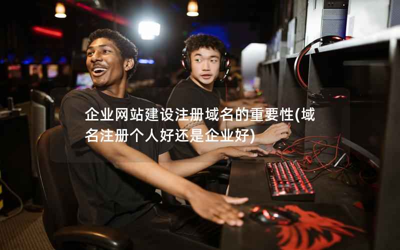 企业网站建设注册域名的重要性，域名注册个人好还是企业好