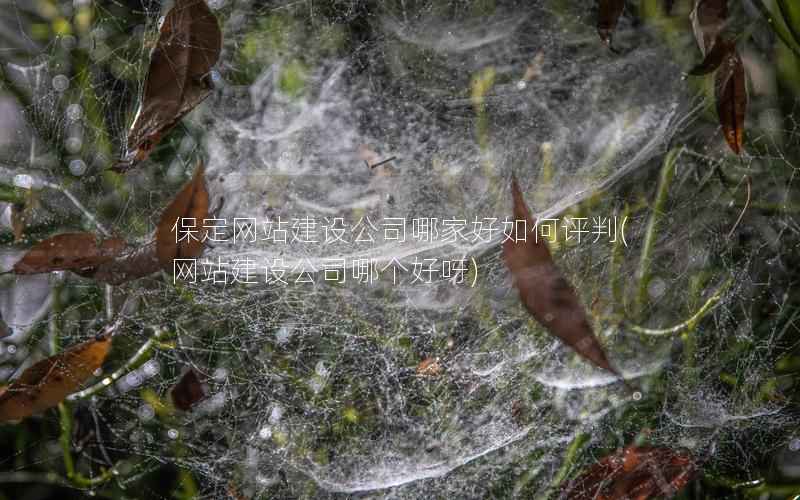 保定网站建设公司哪家好如何评判，网站建设公司哪个好呀