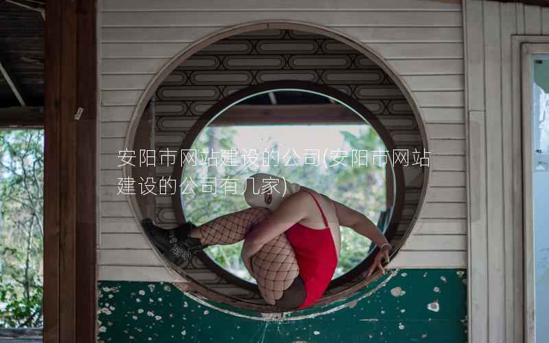 安阳市网站建设的公司，安阳市网站建设的公司有几家