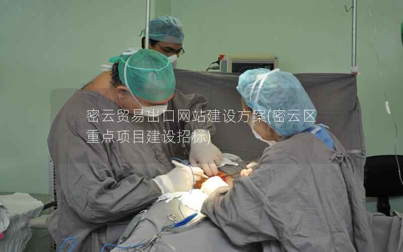 密云贸易出口网站建设方案，密云区重点项目建设招标