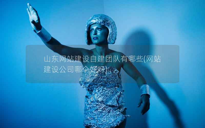 山东网站建设自建团队有哪些，网站建设公司哪个好呀