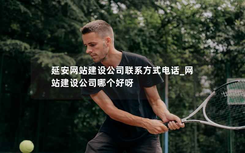 延安网站建设公司联系方式电话_网站建设公司哪个好呀