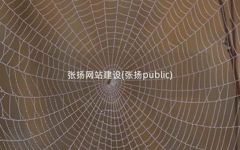 张扬网站建设，张扬public