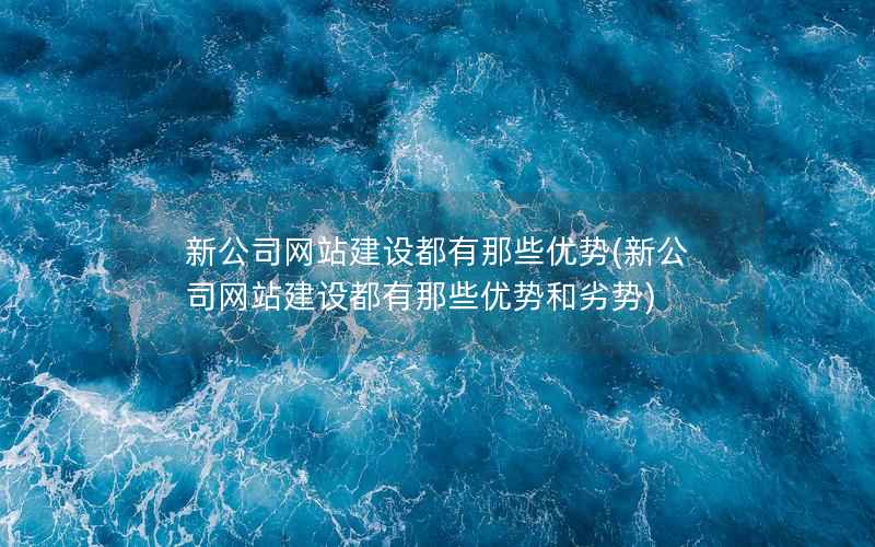 新公司网站建设都有那些优势，新公司网站建设都有那些优势和劣势