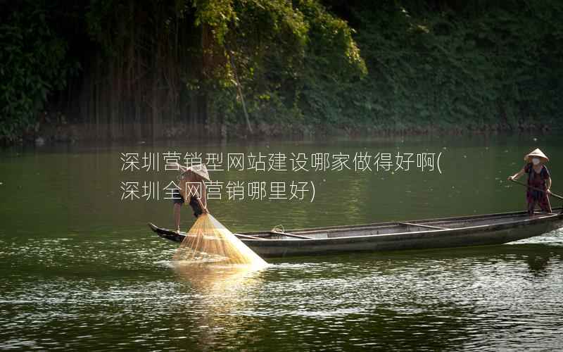 深圳营销型网站建设哪家做得好啊，深圳全网营销哪里好