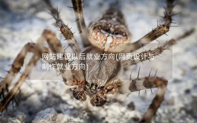 网站建设以后就业方向，网页设计与制作就业方向