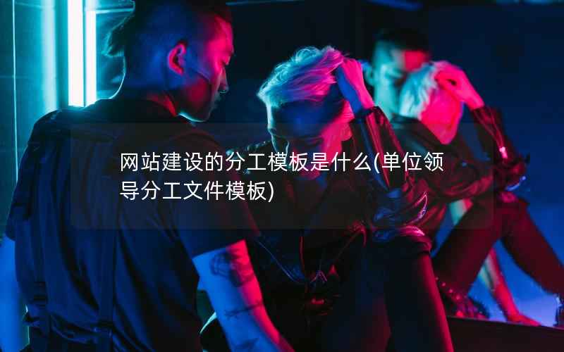 网站建设的分工模板是什么，单位领导分工文件模板