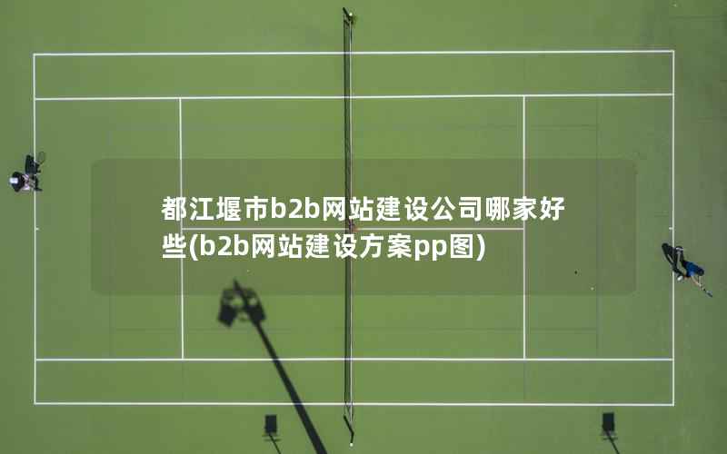 都江堰市b2b网站建设公司哪家好些，b2b网站建设方案pp图