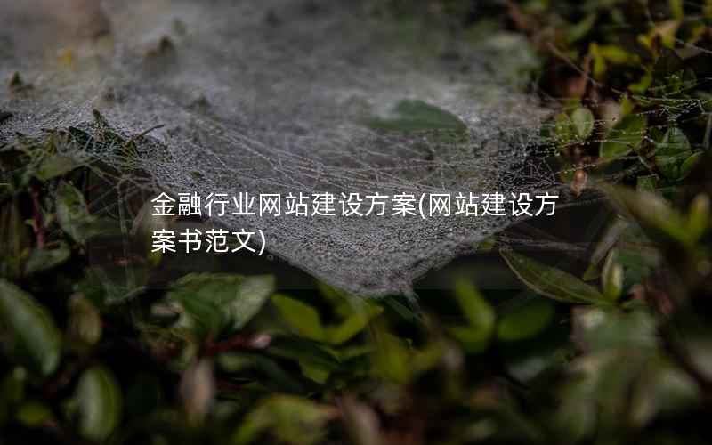 金融行业网站建设方案，网站建设方案书范文