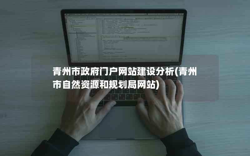 青州市门户网站建设分析，青州市自然资源和规划局网站