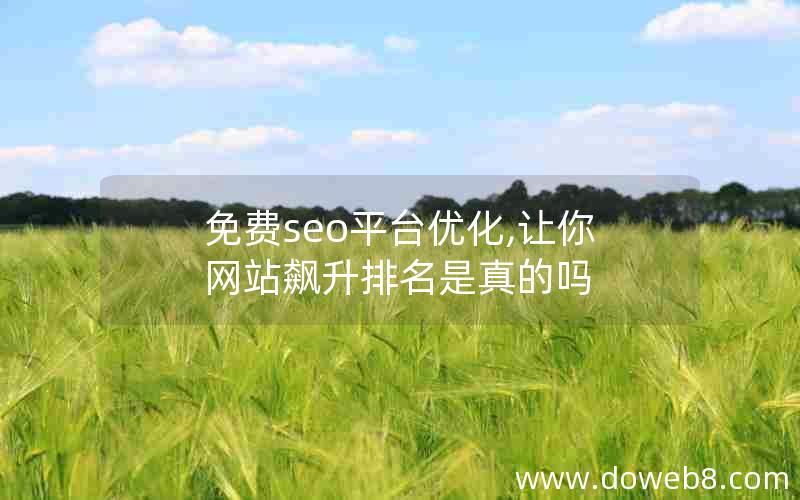 免费seo平台优化,让你网站飙升排名是真的吗