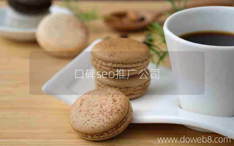 口碑seo推广公司