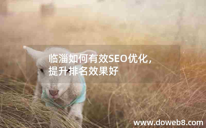 临淄如何有效SEO优化，提升排名效果好