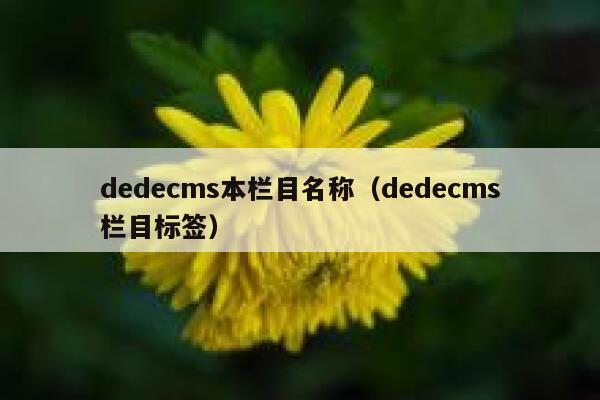 dedecms本栏目名称，dedecms栏目标签