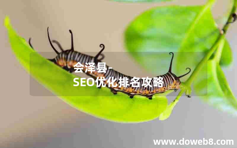 会泽县-SEO优化排名攻略
