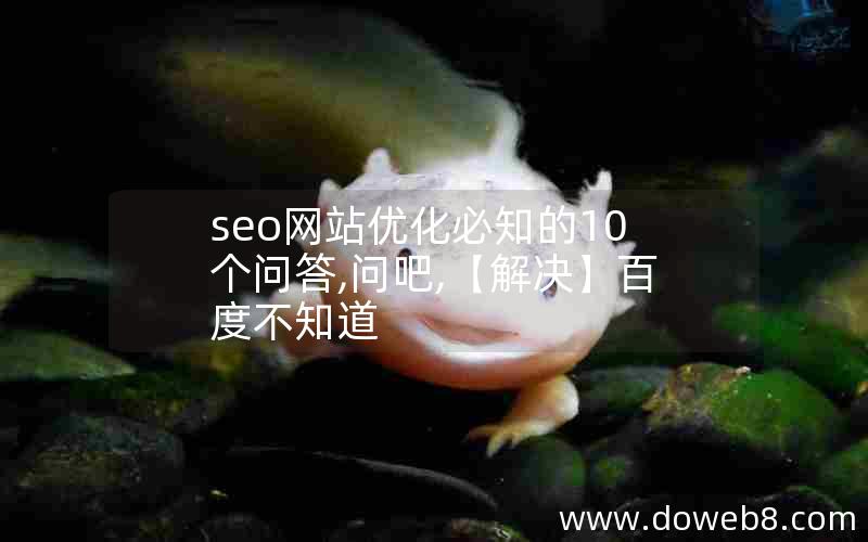 seo网站优化必知的10个问答,问吧,【解决】百度不知道